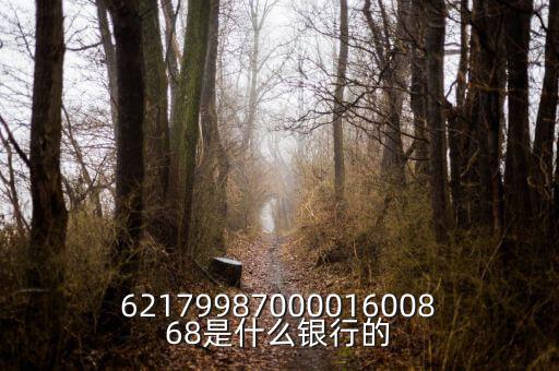 中債資信屬于什么銀行，6217998700001600868是什么銀行的