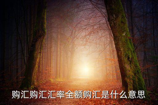 全額匯購是什么意思，什么叫全額結(jié)匯