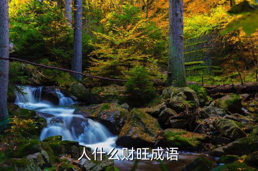 人什么什么財，帶人和財?shù)某烧Z