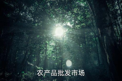 什么是公益性農(nóng)產(chǎn)品批發(fā)市場，談?wù)勅绾渭訌?qiáng)和完善公益性農(nóng)貿(mào)市場建設(shè)