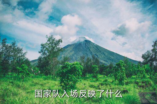 國家隊(duì)進(jìn)場是什么意思，國家隊(duì)入場反映了什么