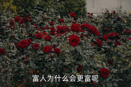 富人為什么越來越富，為什么富人越來越富