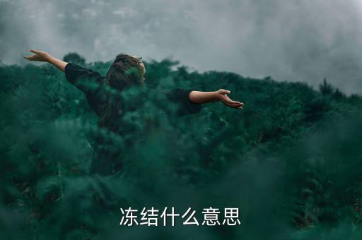 閃電貸凍結是什么意思，閃電借款什么叫凍結百分之80的額度意思是信用卡里面額度要多少錢