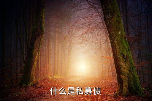 什么是小貸公司私募債，什么是私募債