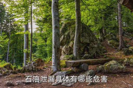 原油泄漏影響什么部門(mén)，石油泄漏具體有哪些危害