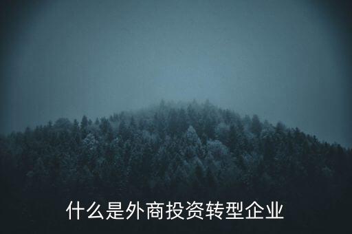 什么是外商投資轉型企業(yè)