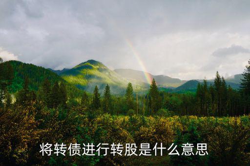 什么是債轉(zhuǎn)股，將轉(zhuǎn)債進(jìn)行轉(zhuǎn)股是什么意思