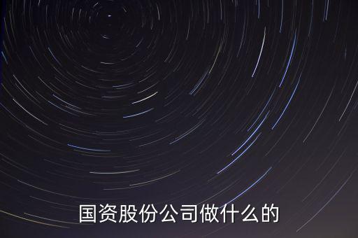 國資公司是做什么的，國資股份公司做什么的