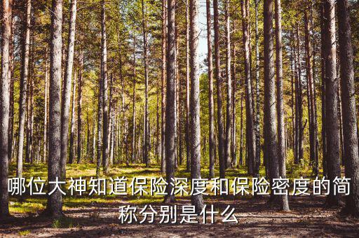 什么叫保險密度，保險深度與密度是什么