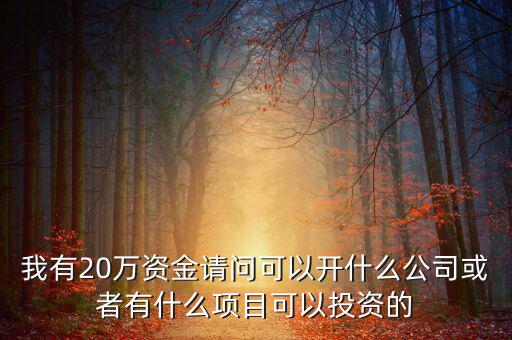 我有20萬(wàn)資金請(qǐng)問(wèn)可以開(kāi)什么公司或者有什么項(xiàng)目可以投資的