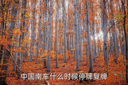 中國(guó)南車什么情況，中國(guó)南車跌停預(yù)示著大盤明天有什么狀況