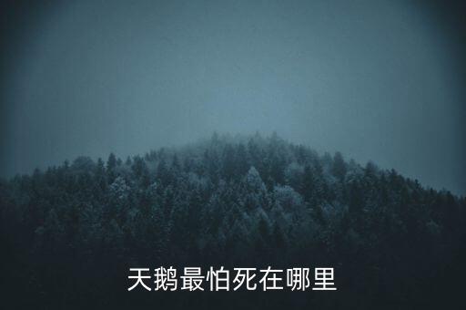 天鵝怕什么，天鵝最怕死在哪里