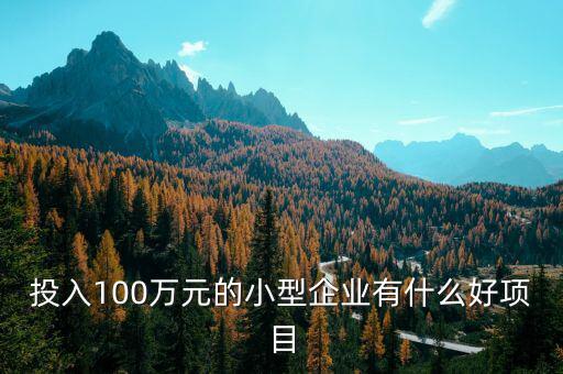什么企業(yè)愛投資項(xiàng)目，投入100萬元的小型企業(yè)有什么好項(xiàng)目