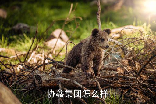協(xié)鑫什么企業(yè)，協(xié)鑫集團(tuán)怎么樣