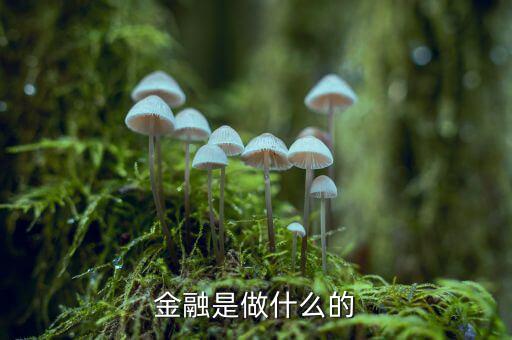 中國(guó)29金融是干什么的，金融是干什么的