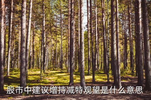 股票建議增持什么意思，股市中建議增持減特觀望是什么意思