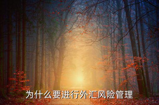 中國(guó)為什么實(shí)行外匯管制，為什么要加入國(guó)家外匯管理局工作