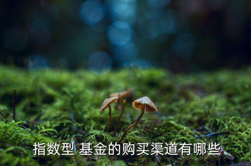  指數型 基金的購買渠道有哪些