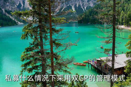 雙gp基金是什么，私募什么情況下采用雙GP的管理模式