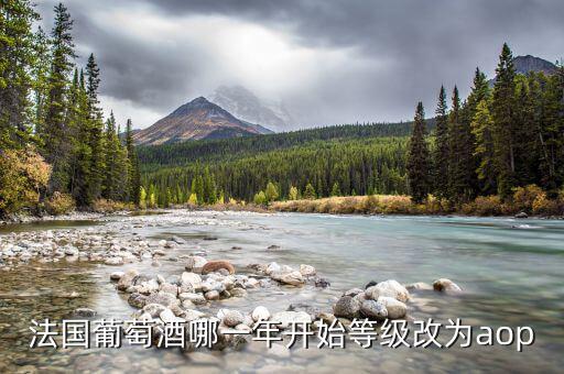 法國(guó)發(fā)生什么改革，法國(guó)葡萄酒哪一年開(kāi)始等級(jí)改為aop