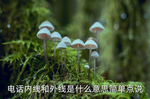 電話內線和外線是什么意思簡單點說