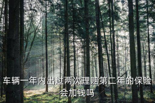 一年中兩次事故理培有什么影響，車輛一年內(nèi)出過兩次理賠第二年的保險會加錢嗎