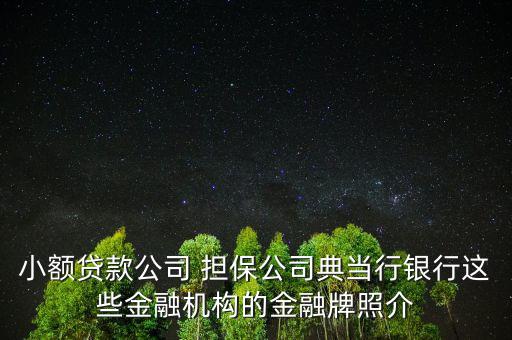 小額貸款公司 擔保公司典當行銀行這些金融機構(gòu)的金融牌照介