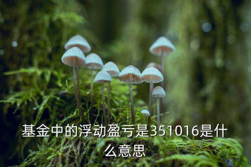 基金的浮動(dòng)盈虧是什么意思，基金中的浮動(dòng)盈虧是351016是什么意思