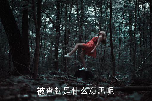 承兌匯票被查封是什么意思，被查封是什么意思呢