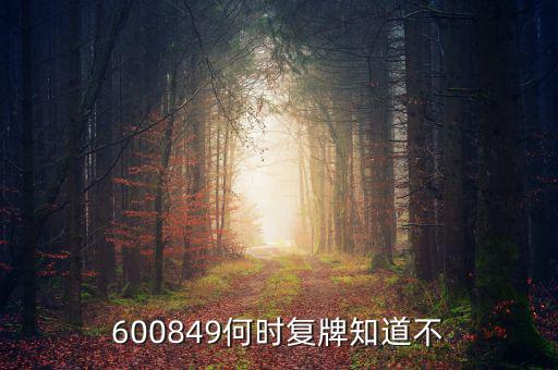 儀電b股什么時候復(fù)牌，600849何時復(fù)牌知道不