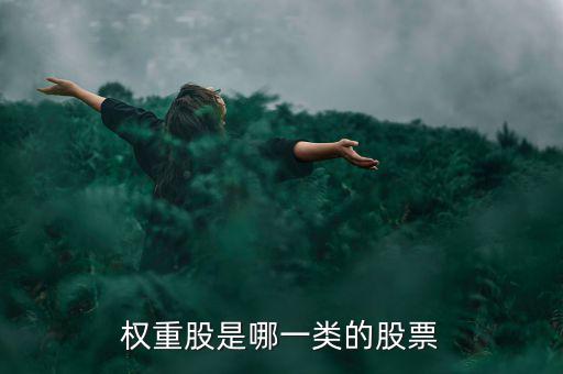 權(quán)重股是什么意思，權(quán)重股是哪一類(lèi)的股票