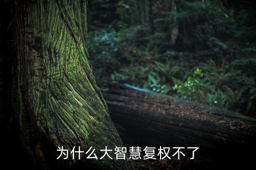為什么大智慧復權(quán)不了