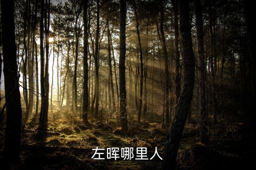 左暉靠什么起家，左暉與左東華什么關(guān)系