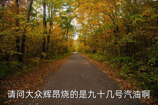 什么車燒90號汽油，請問大眾輝昂燒的是九十幾號汽油啊