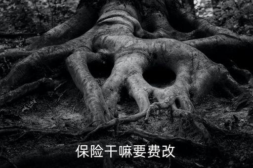 什么是費改產品，移動營業(yè)廳不能由用戶老產品轉換成當前產品什么意思