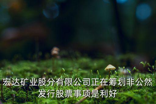 宏達(dá)礦業(yè)什么重大事項(xiàng)，請(qǐng)教600687停盤說是因?yàn)楹藢?shí)公司相關(guān)重大事項(xiàng)這個(gè)重大事項(xiàng)有知