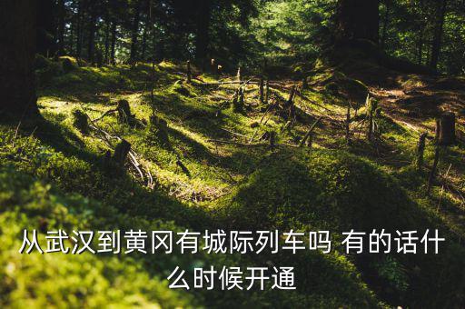 武漢至黃岡城際鐵路什么時(shí)候通車，從武漢到黃岡有城際列車嗎 有的話什么時(shí)候開通