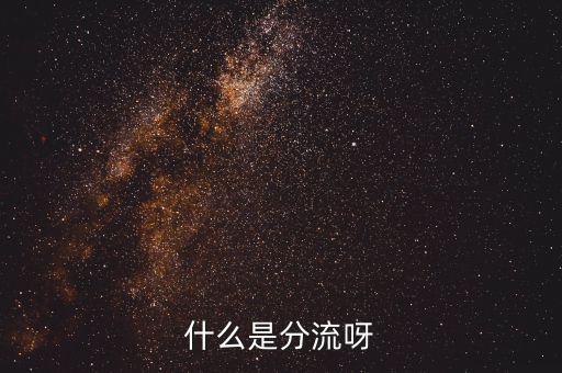 大分流指的是什么，大學分流有什么一流大學還有二流大學以及三流大學是怎么劃分
