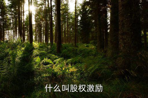 什么叫股權(quán)激勵(lì)，股票的股權(quán)激勵(lì)是什么意思
