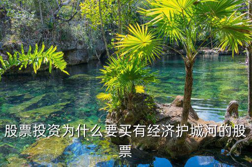 什么是股票投資的護(hù)城河理論，從基本面看證券投資的護(hù)城河是指哪幾類情況