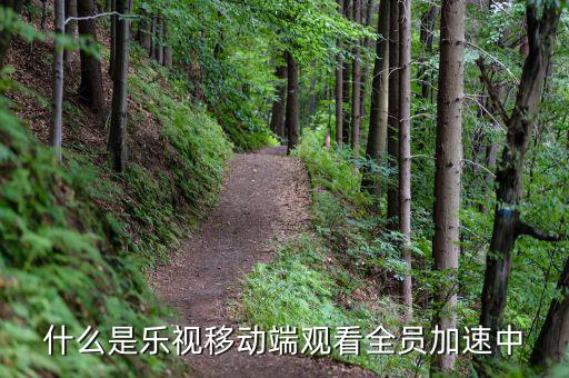 什么是樂(lè)視移動(dòng)端，樂(lè)視移動(dòng)是什么