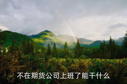 去期貨公司能做什么，本人去某期貨公司總部適合做什么