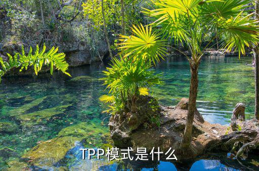 tpp什么時候生效，TPP文件時什么東西