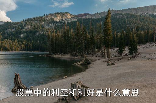 股票中的利空是什么意思，什么是股市利空