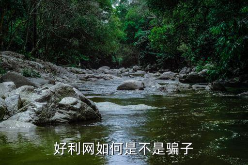 好利網(wǎng)是做什么的，網(wǎng)上好利網(wǎng)是真的嗎
