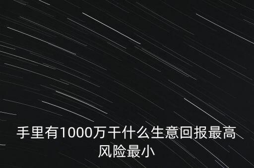 1000萬投資什么生意，手里有1000萬干什么生意回報最高風(fēng)險最小