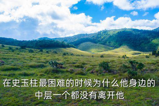 史玉柱為什么辭職，巨人史玉柱破產(chǎn)的原因是什么