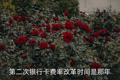 各銀行手續(xù)費(fèi)改革什么時候開始，第二次銀行卡費(fèi)率改革時間是那年