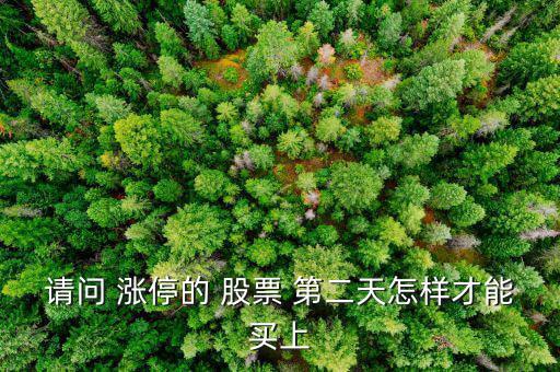 最后拉漲停的股票第二天怎么辦,周一開(kāi)盤如何操作?