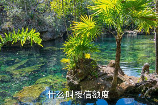 授信總額什么意思，非循環(huán)貸賬戶授信總額是什么意思
